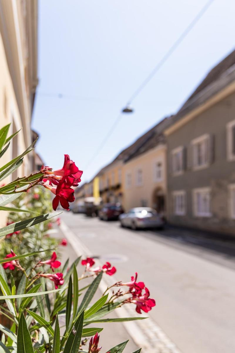 Apartmán Stadt Emma *
